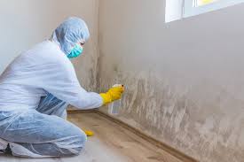 Best Crawl Space Mold Remediation  in Good Hope, CA