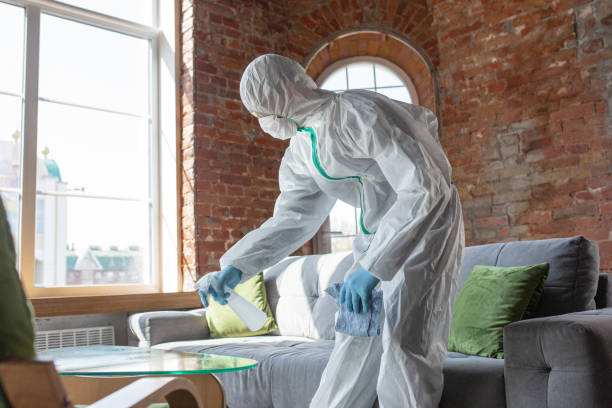 Asbestos and Lead Testing During Mold Inspection