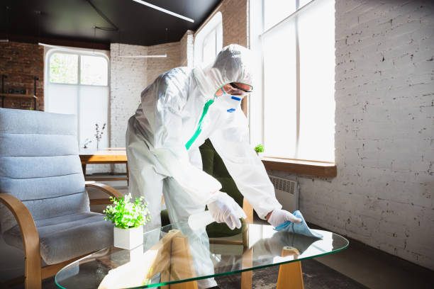 Professional Mold Removal & Remediation in Good Hope, CA